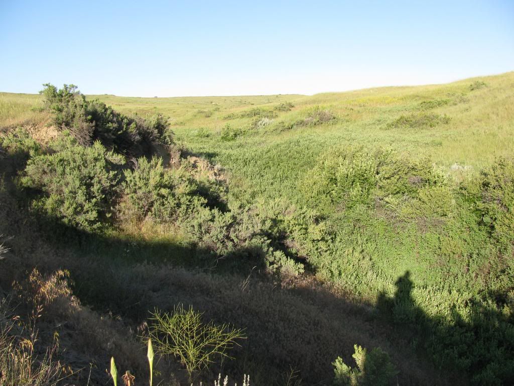 Deep Ravine Pictures Little Bighorn History Alliance www